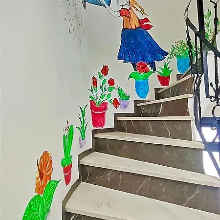 Galata Zade فندق